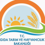 Tarım ve Orman Bakanlığı en az lise mezunu personel alımı yapıyor! Şartlar neler?
