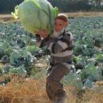 Ağırlığı Tam 50 kilo! Herkes hormonlu sanıyor