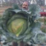Görenler gözlerine inanamadı!