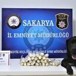 Sakarya'da uyuşturucu operasyonu