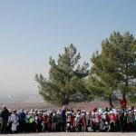 İzmir'de 461 bin fidan dikilecek