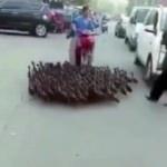 Yüzlercesi geçti! Trafiği kapattılar