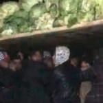 Lahana yüklü kamyonette 38 kaçak göçmen yakalandı