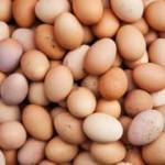 Yumurta seçerken nelere dikkat edilir?