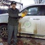 Konya'da yaralı şahin koruma altına alındı