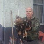 Yaralı kartal koruma altına alındı