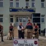 Cezaevinden ankesörlü telefonla dolandırdı