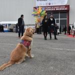 Dedektör köpek "badem" fuarın gözdesi