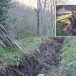 Ordu'da ürküten olay! Mahalleli tedirgin