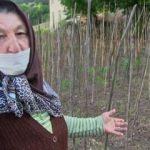 Artvin'de istila: Bir şey yapamıyoruz