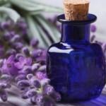 Lavantanın faydaları neledir? Lavanta yağı nerelerde kullanılır?