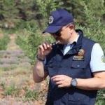 Bakan Pakdemirli’den lavanta hasadı