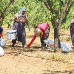 Üretim için harekete geçildi! Türkiye, ABD'nin tahtını sallayacak
