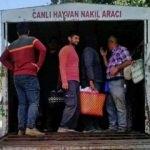Bu görüntüyü affetmediler!