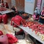 Kışa hazırlık derken, yollar salça kokuyor
