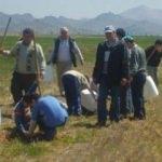 İşe başlamanın ilk şartı 3 fidan dikmek