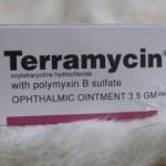 Terramycin(Teramisin) krem nedir? Terramycin nasıl kullanılır? Terramycin ne işe yarar?