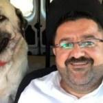 Gören şaşırıp kalıyor! Her akşam aynı...