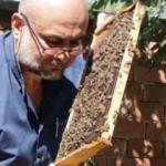 Bu arılar sokmuyor! Yurt içi ve yurt dışına satıyor