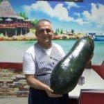 Gören bir daha bakıyor: Dev salatalık