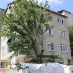 Tırtıllar yüzünden canından oluyordu