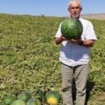 Görenler hayrete düşüyor! Tam 6 ay boyunca bozulmuyor
