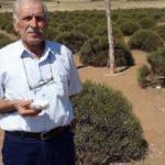1 aydır sahibini arıyor! İçi altın dolu...
