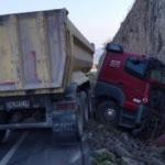Arı görünce panikleyen TIR sürücüsü kaza yaptı
