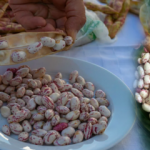Dondurucuda barbunya nasıl saklanır? Kışlık barbunya
