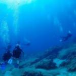 Dünyanın en güzel dalış merkezi: Kaş