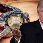Trump'tan sınır güvenliği için akılalmaz teklif iddiası