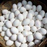 Yumurta ihracatçılarından ABD hamlesi
