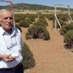 2 aydır sahibini arıyor! İçi altın dolu...