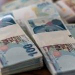 Devlet gelecek yıl 30,2 milyar lira toplayacak