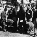 Osmanlı'yla ilgili ilk defa göreceğiniz kareler