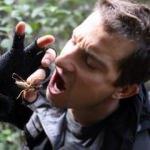 Bear Grylls dünyaya rezil oldu! Meğer herkesi kandırmış