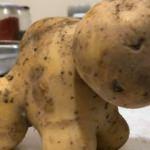 Görenleri hayrete düşüren patates!