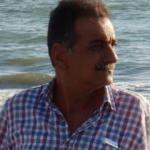 Bal arısı sokması canından etti