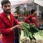 Ispanaklar elde kaldı, zararına bile satılamıyor