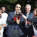 Sevimli makak maymunu yavrularının isimleri belirlendi