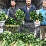 Pazar tezgahları boş kaldı! Hepsi çöpe gidiyor