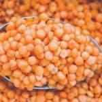 Bakan Pakdemirli: Mercimek fark ödemesi artırılacak