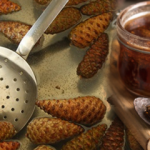 Çam kozalağının faydaları nedir? Çam kozalağını kaynatıp suyunu içerseniz ne olur?