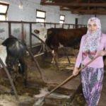 Devletten aldığı destekle çiftlik kurdu