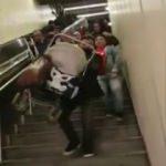 Metrobüs'te bozuk asansör rezilliği!