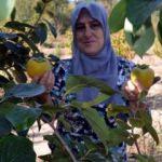 Önce kurutuyor! Kilosunu 23 katına satıyor