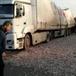 Korkunç kaza! Tam 2 ton balık yola saçıldı