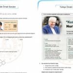 2019 Kasım LGS örnek soruları | Liseye Geçiş Sınavında çıkacak soru ve cevaplar