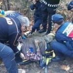 Kayıp olarak aranıyordu, bu halde bulundu