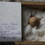 Bu yumurtayı 40 yıldır saklıyor! Sebebini duyan inanamıyor